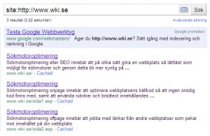 wki.se serp 110226