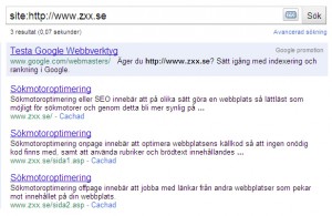 zxx.se serp 110226